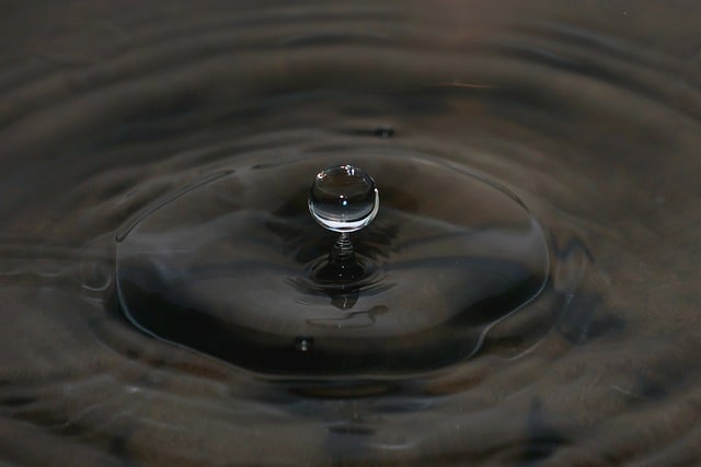 macro close-up of dark truffle with rugged surface in black and gold lighting